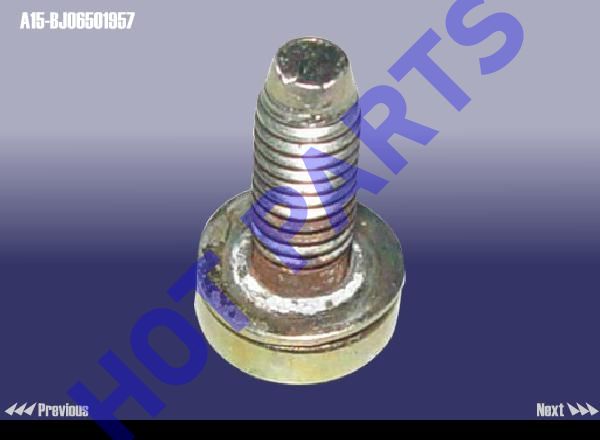 SCREW HEAD WITH GASKET