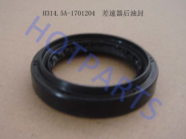 картинка САЛЬНИК КПП ДИФЕРЕНЦИАЛА GW PERI  H314.5A-1701204